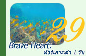 Brave Heart: ทัวร์เกาะเต่า 1 วัน
