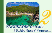3วัน2คืน Snorkayak  เกาะเต่า...