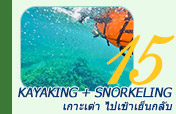 Kayaking and Snorkeling เกาะเต่า ไปเช้าเย็นกลับ